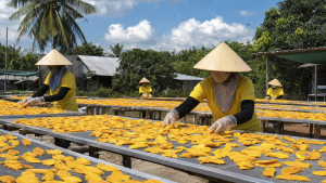 Open-air sun drying is economical but offers limited control over weather, moisture, and environmental exposure.