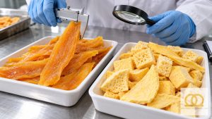 Texture comparison between chewy soft-dried mango and crisp freeze-dried mango